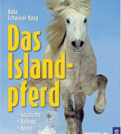 Das Islandpferd (M)
